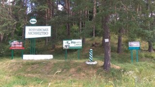 На Львівщині засудили лісника, який допустив вирубку лісів