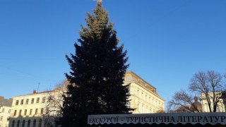 20 січня демонтують головну ялинку Львова
