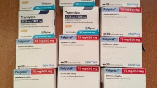 Українець намагався перевезти 540 наркотичних таблеток