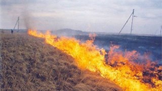 На Львівщині зафіксували три пожежі сухої трави