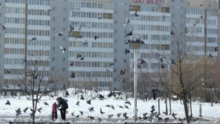 Будкомпанія "Укрсвіт" заборгувала Львову 700 тисяч