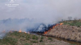 На Золочівщині згоріло 2000 квадратних метрів сухостою