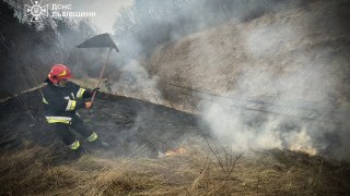 На Львівщині виникло понад 30 пожеж  сухої трави та чагарнику
