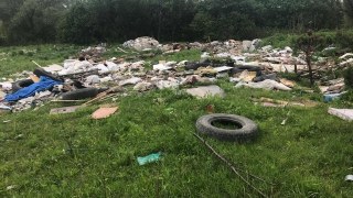 Поблизу Сільмашу виявили звалище сміття та тваринних решток