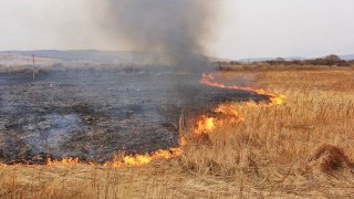 Штраф за спалювання сухої трави планують збільшити до 1700 грн