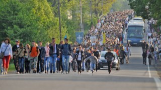 На Львівщині понад 15 тис. осіб у вишиванках взяли участь у прощі