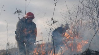 У Львові виникла пожежа у парку «Горіховий гай»