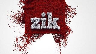ГО «Народний антикорупційний нагляд» оприлюдив власне розслідування щодо ZIK