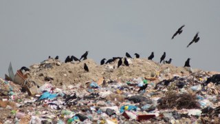 Екологічний фестиваль окультурить львів'ян роздільним сортуванням сміття