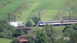 На Львівщині дерева впали на залізничну колію: затримуються п'ять поїздів