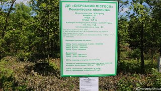 Депутати облради виступили проти передачі в концесію державних лісгоспів