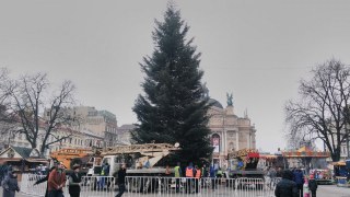 У Львові прикрасять новорічну ялинку за 100 тисяч гривень