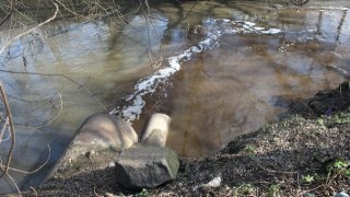 Екологи підозрюють перевищення забруднюючих речовин у річці біля Винник