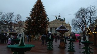 У Львові виділили 100 тисяч на встановлення та охорону новорічної ялинки