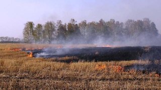 Через спалювання стерні на Львівщині загинула людина