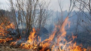 На Львівщині внаслідок спалювання стерні загинула людина