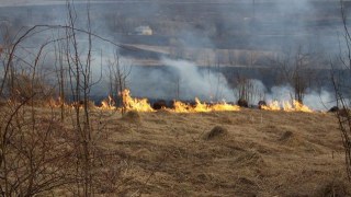 За добу на Львівщині ліквідували чотири пожежі сухостою