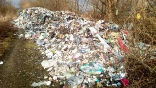 На Львівщині ліквідували 11 несанкціонованих сміттєзвалищ