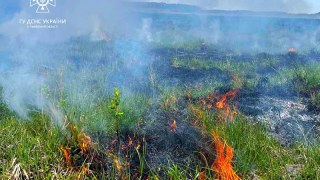 За добу на Львівщині зафіксували вісім пожеж сухостою