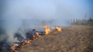 На території Львівської МТГ з початку року зафіксували 50 пожеж в екосистемах