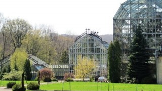 У Ботанічному саду Франкового університету відбудеться День відкритих дверей