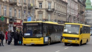 Аудит перевізників показав, що тариф на проїзд у Львові занизький
