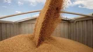Підприємство Бахматюка експортуватиме зерно з перевалочного комплексу на Львівщині
