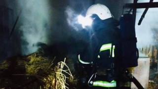 13 рятувальників гасили пожежу будівлі з дровами на Дрогобиччині