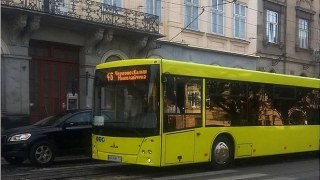 7 нових МАЗів почали курсувати на 3 львівських маршрутах
