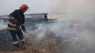 На Львівщині виникли дві пожежі сухої трави