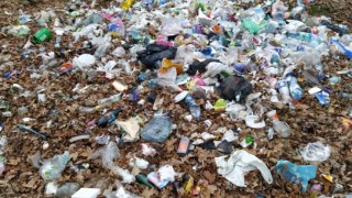 На території Меденицької ОТГ виявили звалище побутового сміття