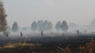 На Львівщині загорілося вісім торфовищ
