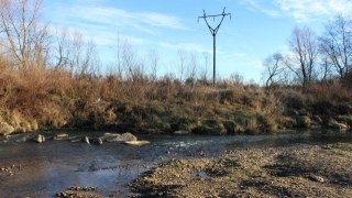 Укрспирт продовжує шкодити довкіллю на Львівщині