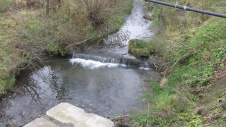 На Львівщині у січні найбільше забруднюючих речовин виявили у річці Шкло