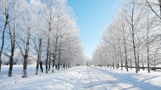 Профілактичні заходи «Перевізник зима-2012» тривають у Львові