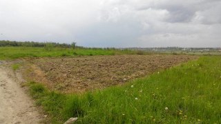 На Дрогобиччині сільрада незаконно віддала фірма 70 га землі