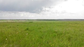 На Жидачівщині чиновники сільради незаконно передали земельні ділянки у приватну власність
