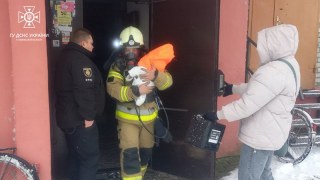 На Львівщині із пожежі в п'ятиповерхівці врятували жінку з немовям