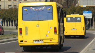 Львівські школярі їздитимуть безплатно у маршрутках цілий рік