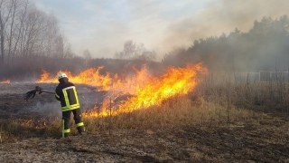 За добу на Львівщині виникло 3 пожежі сухостою