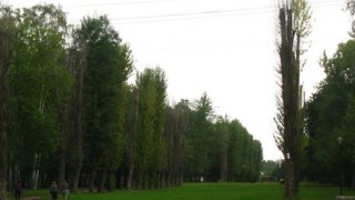 Межі Левандівського парку повернули до старого зразка