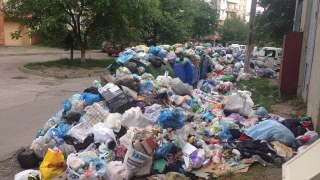 Зі Львова потрібно вивезти ще понад 5000 тонн сміття