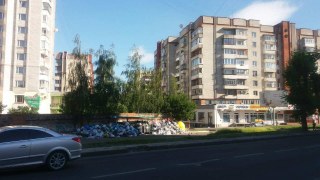 Львів'яни самотужки посортують і приберуть сміття на Варшавській, 193