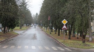 У березні на дорогах Львівщини в ДТП травмувалися 18 дітей