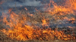 За два дні спеки на Пустомитівщині згоріло 2500 кв м пшениці