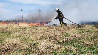 За добу у трьох районах Львівщини зафіксували пожежі сухостою