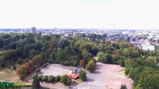 Садовий профінансував Парк культури у Львові майже на 184 тисячі гривень