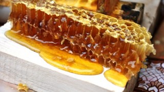 На Дрогобиччині відбудеться фестиваль меду