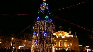 Новорічна ялинка запалає святковими вогнями у центрі Львові 19 грудня