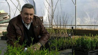 Депутат Ільницький заробляє на лісі більше 19 тисяч у місяць